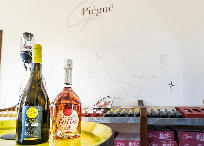 Vignoble Château Piéguë - winery
